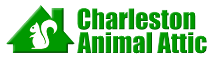 Charleston Animal Attic